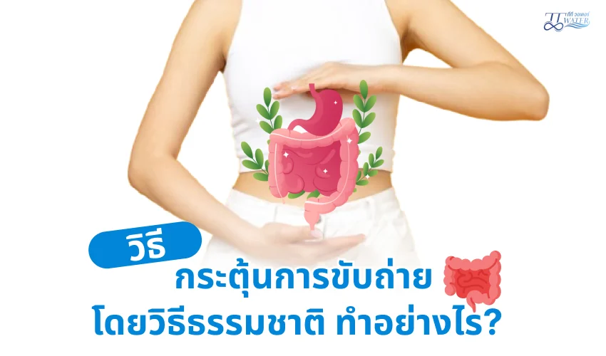 วิธีกระตุ้นการขับถ่าย โดยวิธีธรรมชาติ ทำอย่างไร 1 วิธีกระตุ้นการขับถ่าย โดยวิธีธรรมชาติ ทำอย่างไร