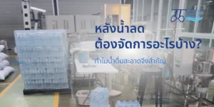 หลังน้ำลดต้องจัดการอะไรบ้าง ทำไมน้ำดื่มสะอาดจึงสำคัญ